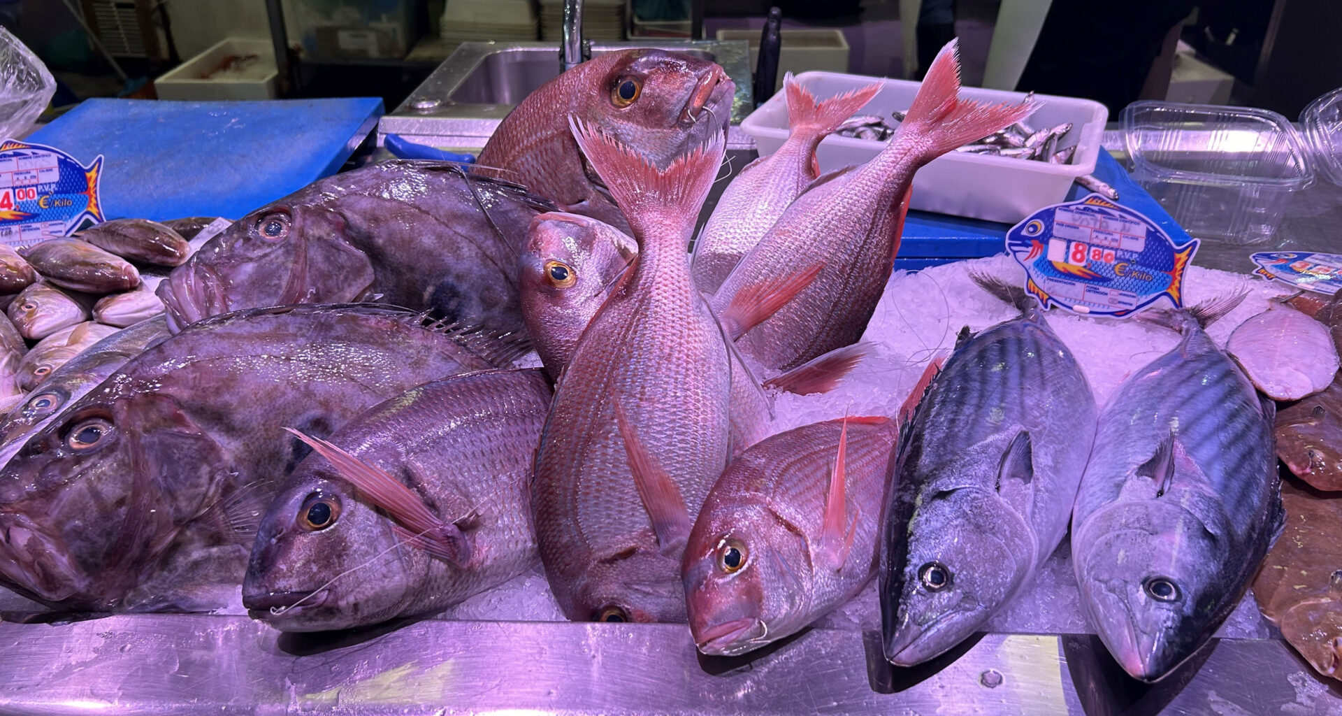 New IAEA Project to Fight Seafood Fraud with Nuclear Technology