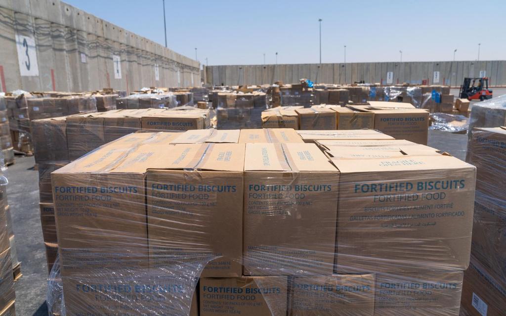 Gaza’s Comorbidities: Real Suffering, False Narratives