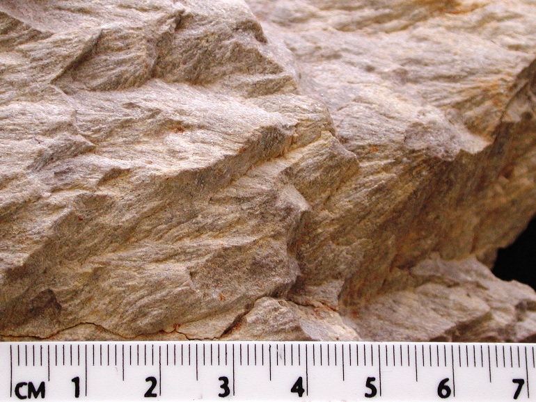 A series of jagged edges stick out on a small piece of brown rock