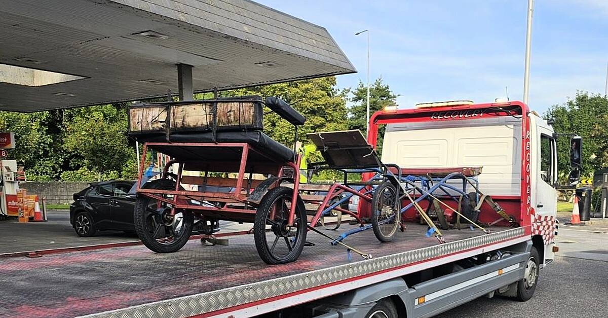 Gardaí say investigations ongoing following seizure of sulkies in Tralee