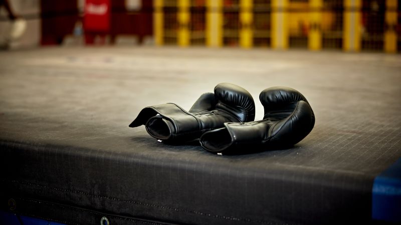 Two Japanese boxers die from brain injuries at same event
