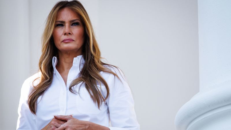 Trump told Melania to ‘go forward’ with legal action against Hunter Biden over Epstein relationship comments