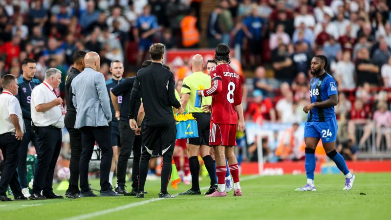 Man arrested after Premier League opener halted due to alleged racist abuse