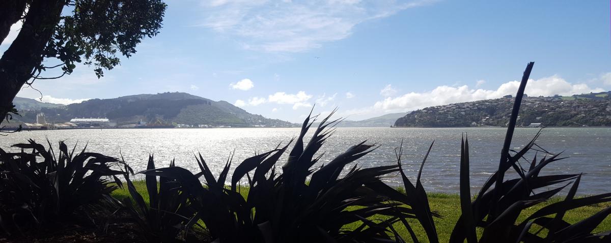 Eco-warrior yells at strangers over harbour litter