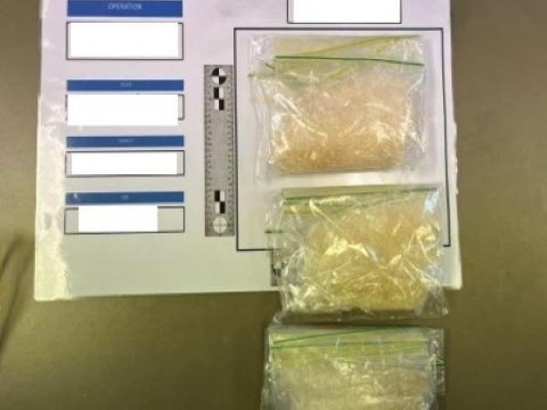 Dunedin raid nets big haul of drugs and cash