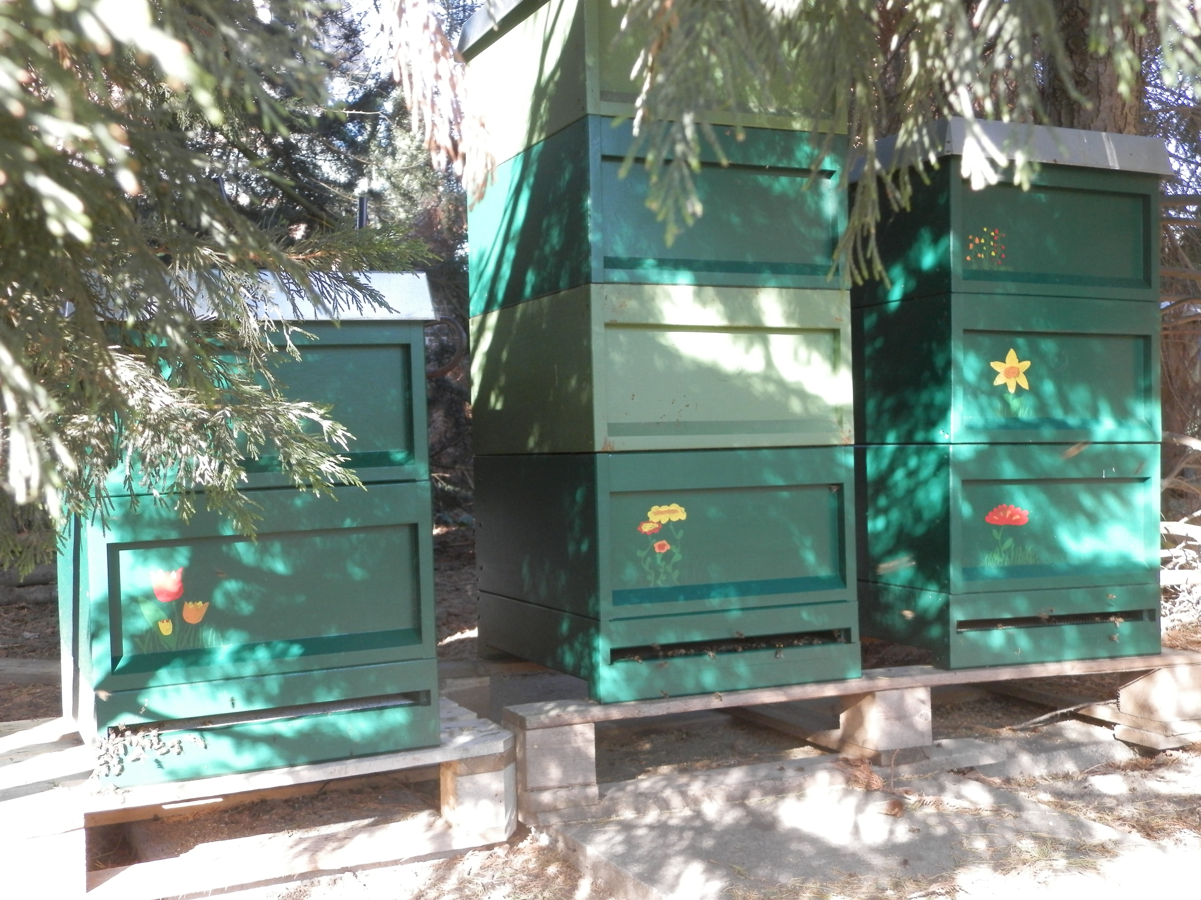 EFS_August2025_Michael Geng Hives