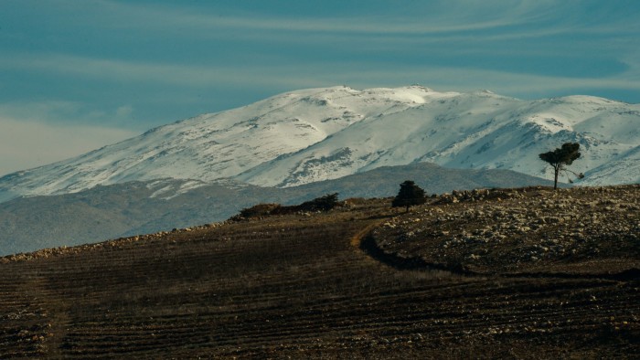 Snow-capped peaks of Mount Hermon rise above a rocky foreground with a few scattered trees under a partly cloudy sky.
