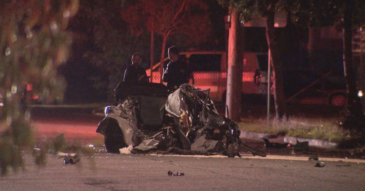 Man dies after car crashes into tree in Brisbane