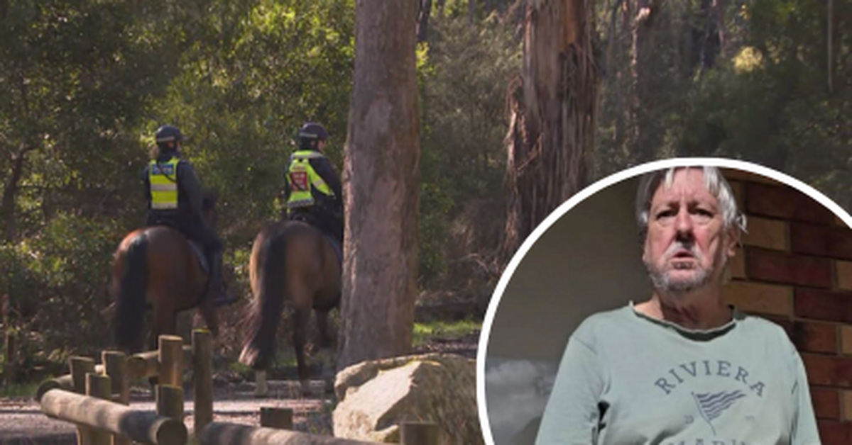 Police narrow search for missing Melbourne man in Victorian forest