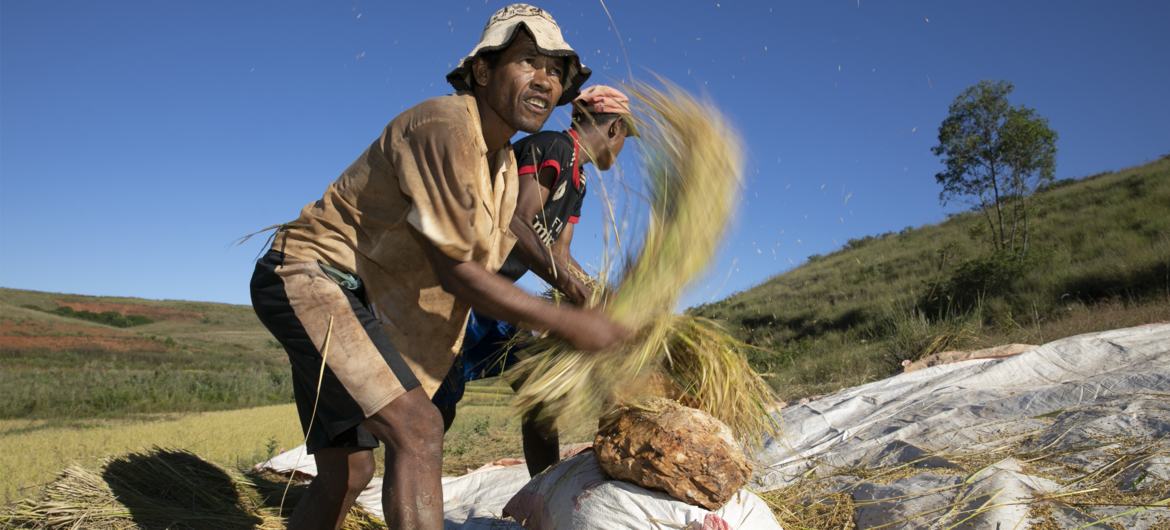 UN agencies warn of rising heat stress risks for workers worldwide