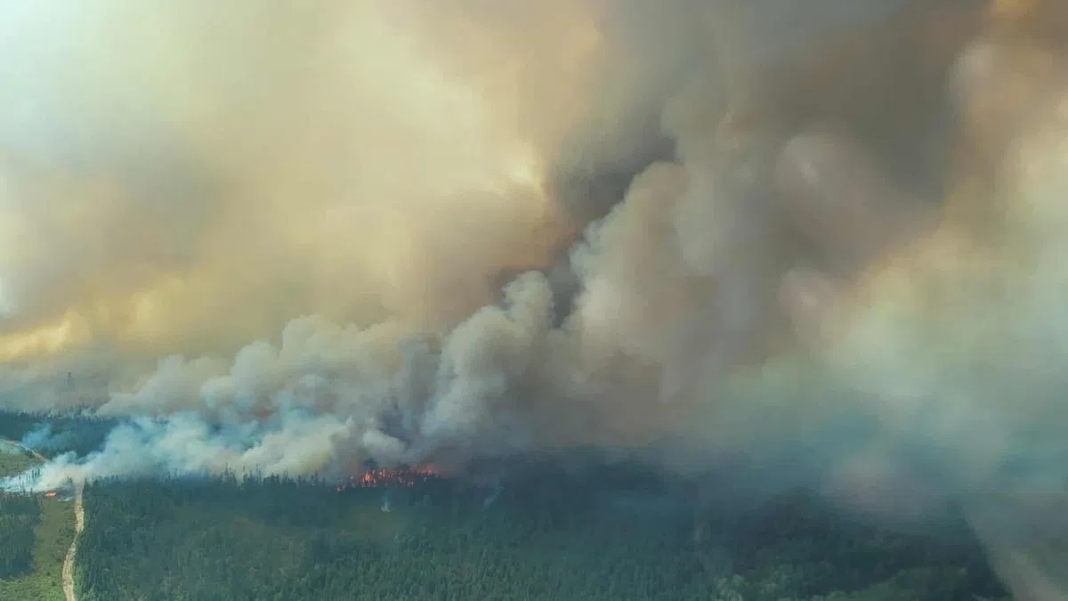 UPDATED: Evacuations possible due to wildfire near Moncton