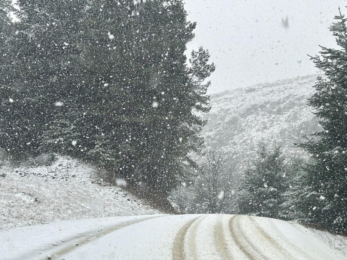 Snow in Central closes Danseys Pass Road