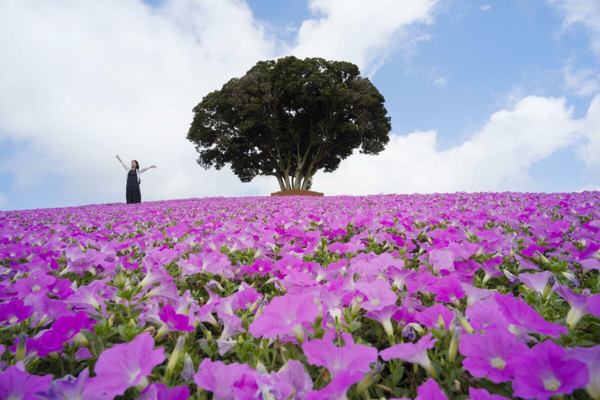 Kyodo News Digest: Aug. 20, 2025