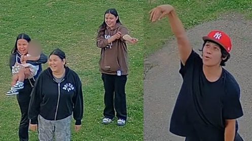 Edmonton looking for 5 persons of interest in playground fire