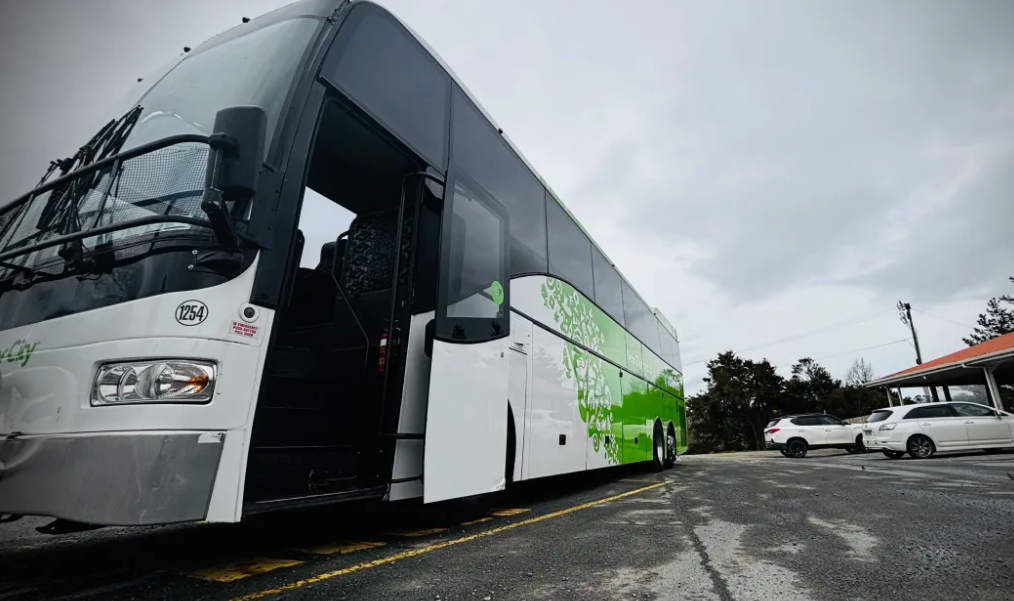 Woman accused of putting toddler in suitcase denied bail