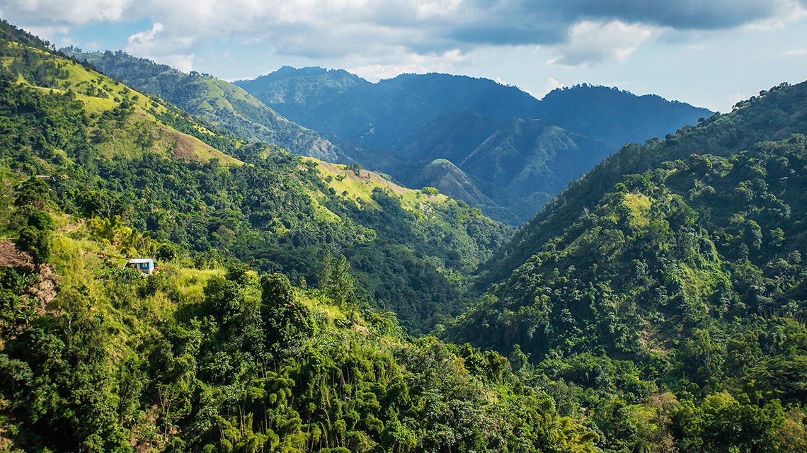 New Gamma Irradiator Helps Protect Blue Mountain Coffee and Address Threats to Crop Yields & Public Health in Jamaica