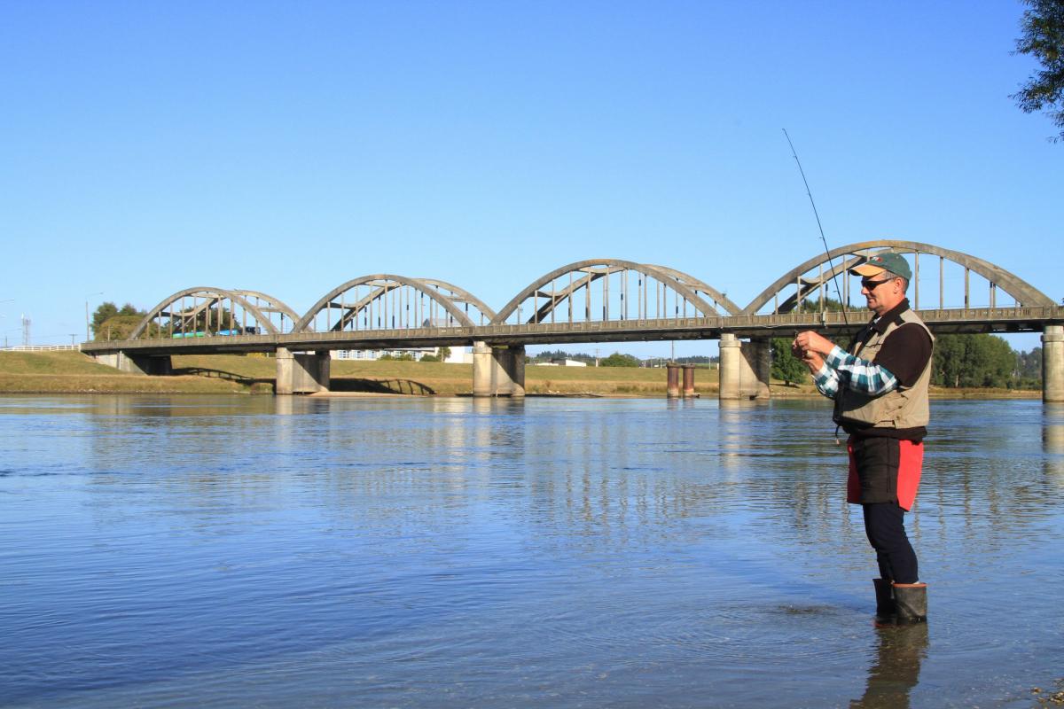 Salmon hatchery on way for Clutha?