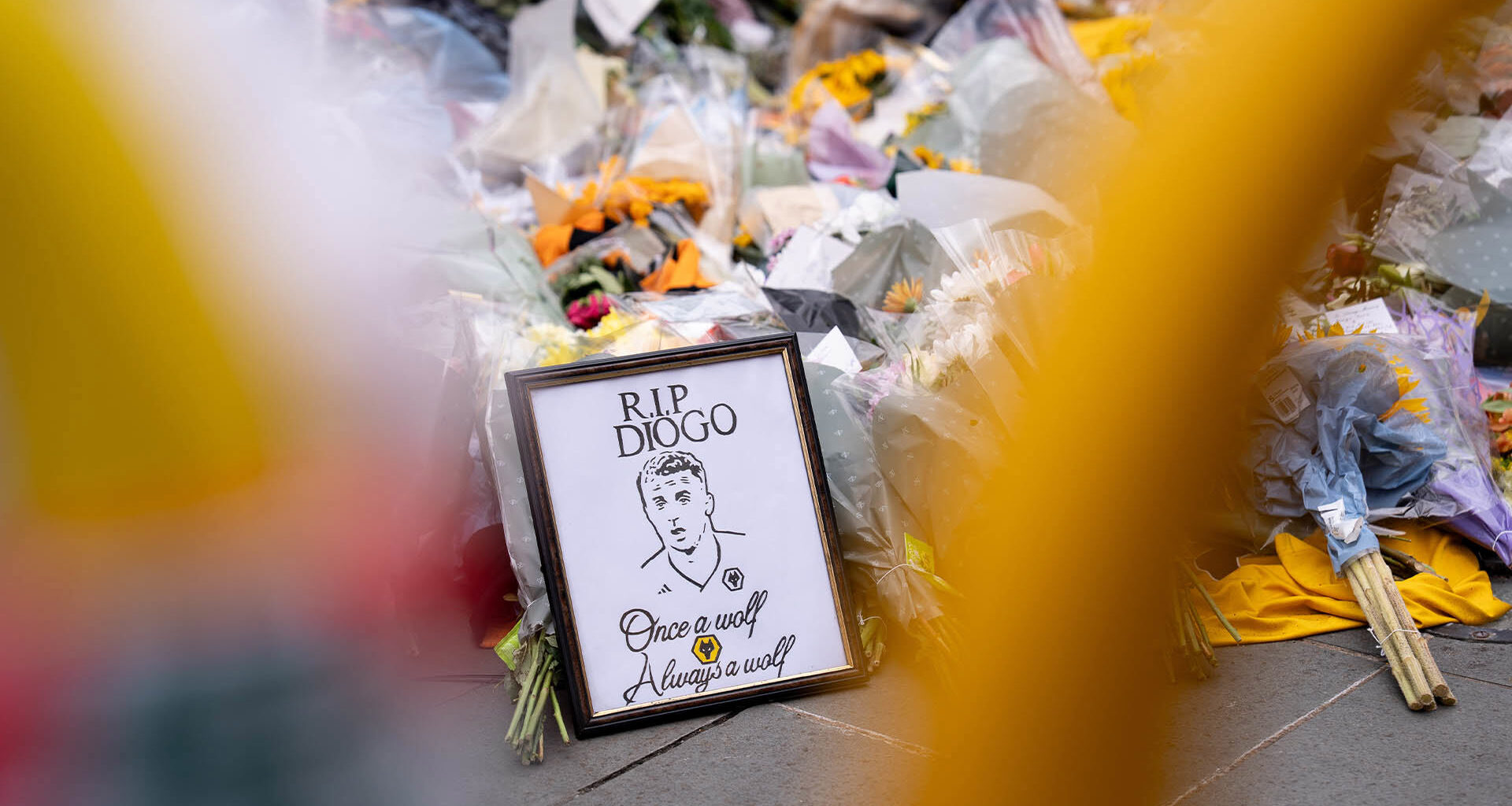 Molineux to pay tribute to Diogo Jota | Club | News