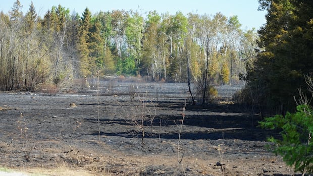 New fire blazes out of control in Kawartha Lakes, Ont.