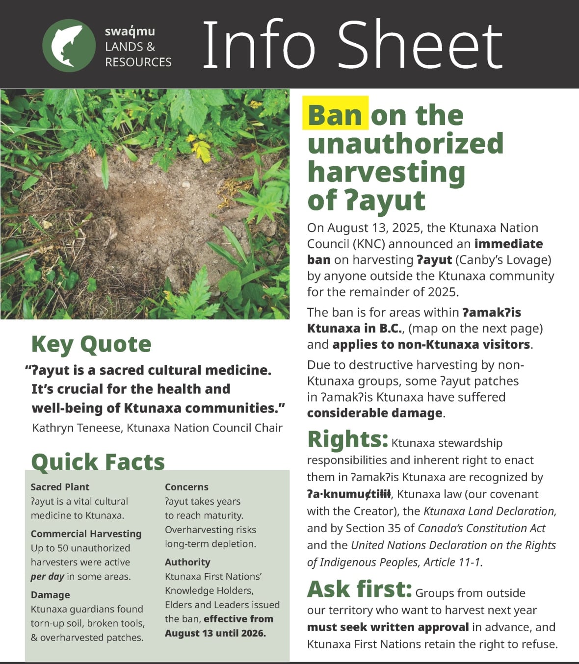 A photo of an information sheet.