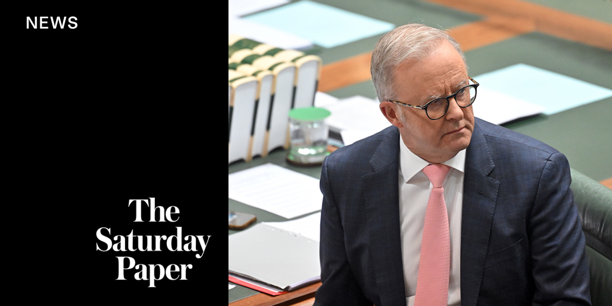 Inside Albanese’s firming position on Gaza and Palestinian statehood