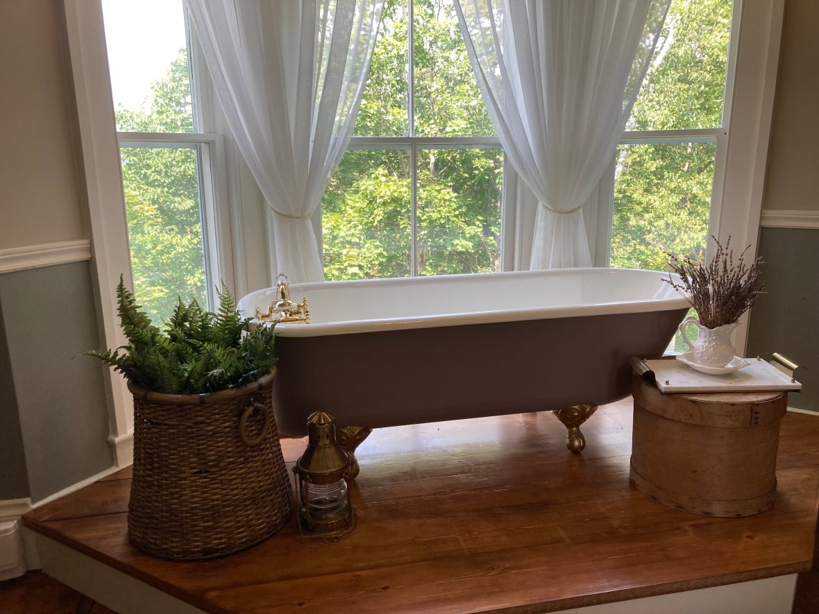 A clawfoot tub next to an indoor plant
