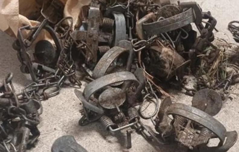 Concern as over 100 traps found at Invercargill reserve