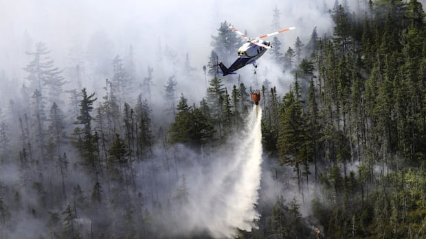 'More evacuations possible' as Long Lake wildfire grows to more than 1,100 hectares