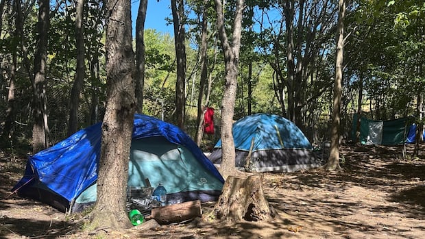 Homeless people in Nova Scotia's woods choosing to stay despite ban, wildfire risk