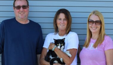 Cat that went missing on B.C. Ferries vessel found safe at terminal