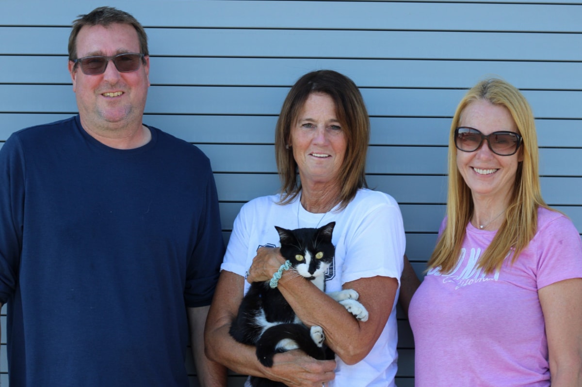 Cat that went missing on B.C. Ferries vessel found safe at terminal