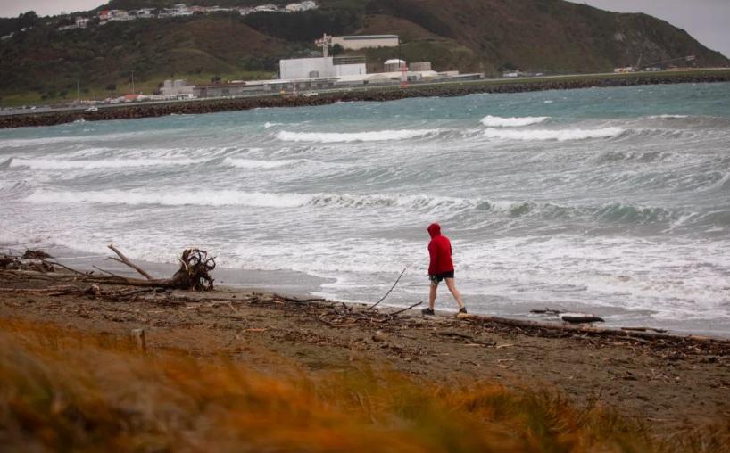 Pacific 'ringing like a bell' after Russia quake