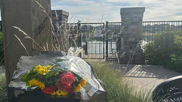 2 men dead after drowning in Calgary's Mahogany Lake