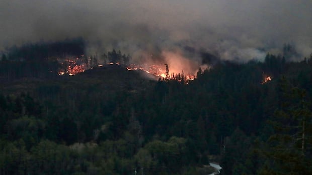 'Remain on alert': More wildfire activity expected across Canada, experts say