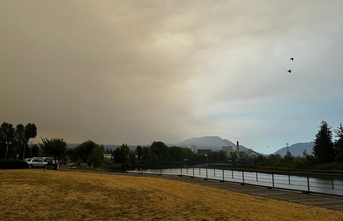 Smoke clouds the air near a road