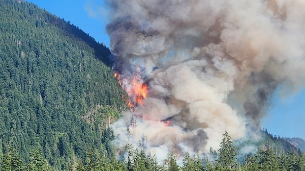 Wildfire south of Port Alberni, B.C., grows aggressively, knocking out power for hundreds