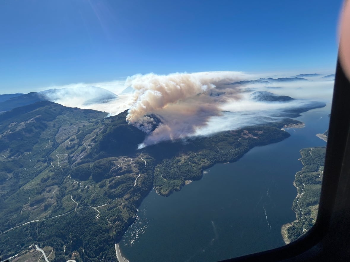 Plumes of smoke are seen from above on a grassy island.