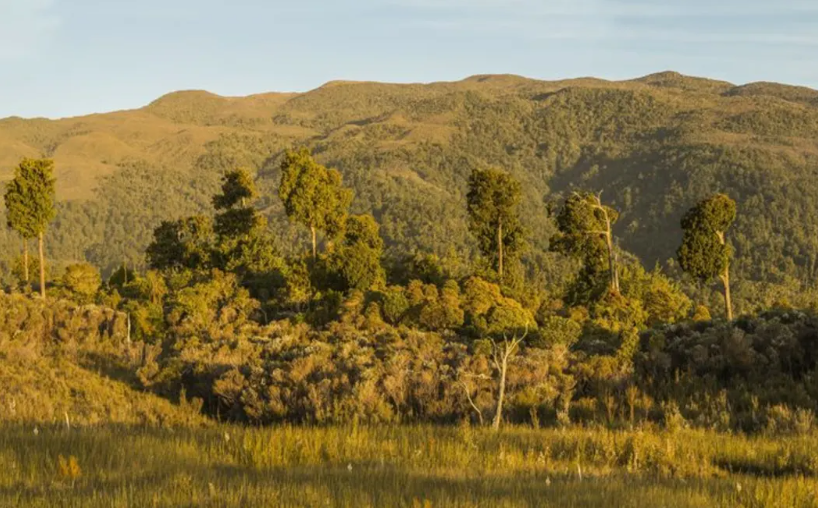 Controversial West Coast mine has fast track-bid declined