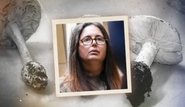 Mushroom murderer prepares to face families of fatal lunch victims