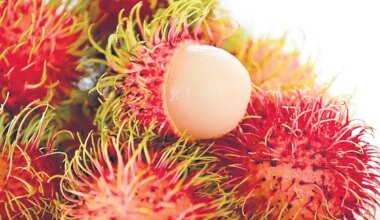 Kerala’s rambutan riches turn sour as prices decline