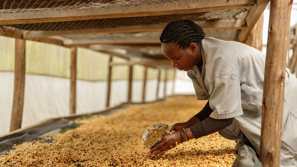 EU deforestation regulation: What it is and how it could impact vulnerable economies