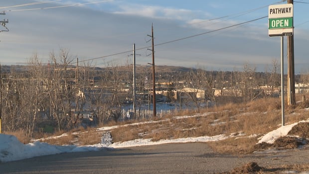 B.C. man charged with manslaughter in death of woman found injured on Calgary pathway