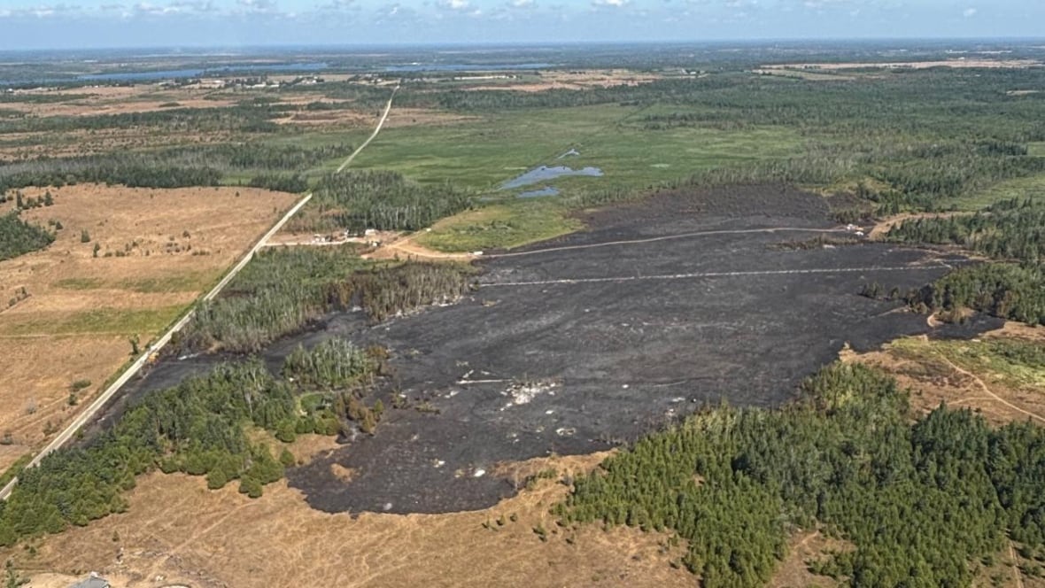 aerial pic of a forest fire