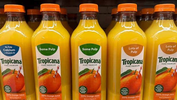 U.S. orange juice shipments plummet as Canadians find Florida OJ hard to swallow