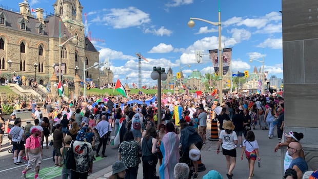 Pride parade cancelled after being halted by pro-Palestinian protesters