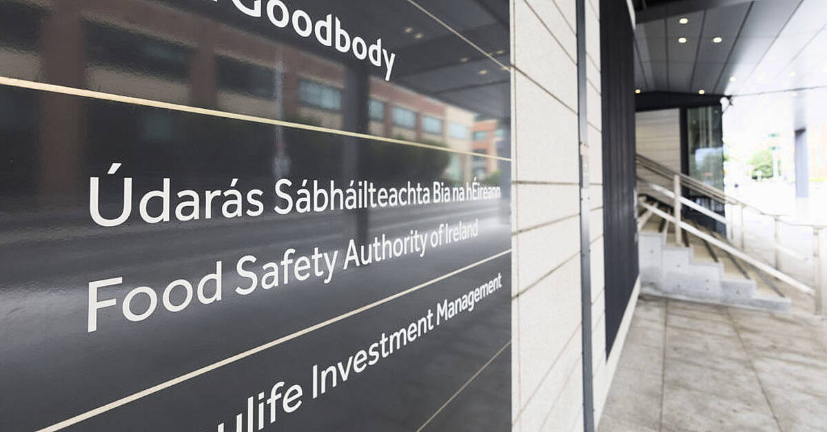 Owners of Limerick food premises face imprisonment over hygiene breaches