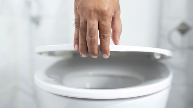 Can you catch diseases from toilet seats?
