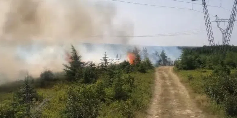 The Latest on NL's Wildfires: Tuesday, August 12, 2025