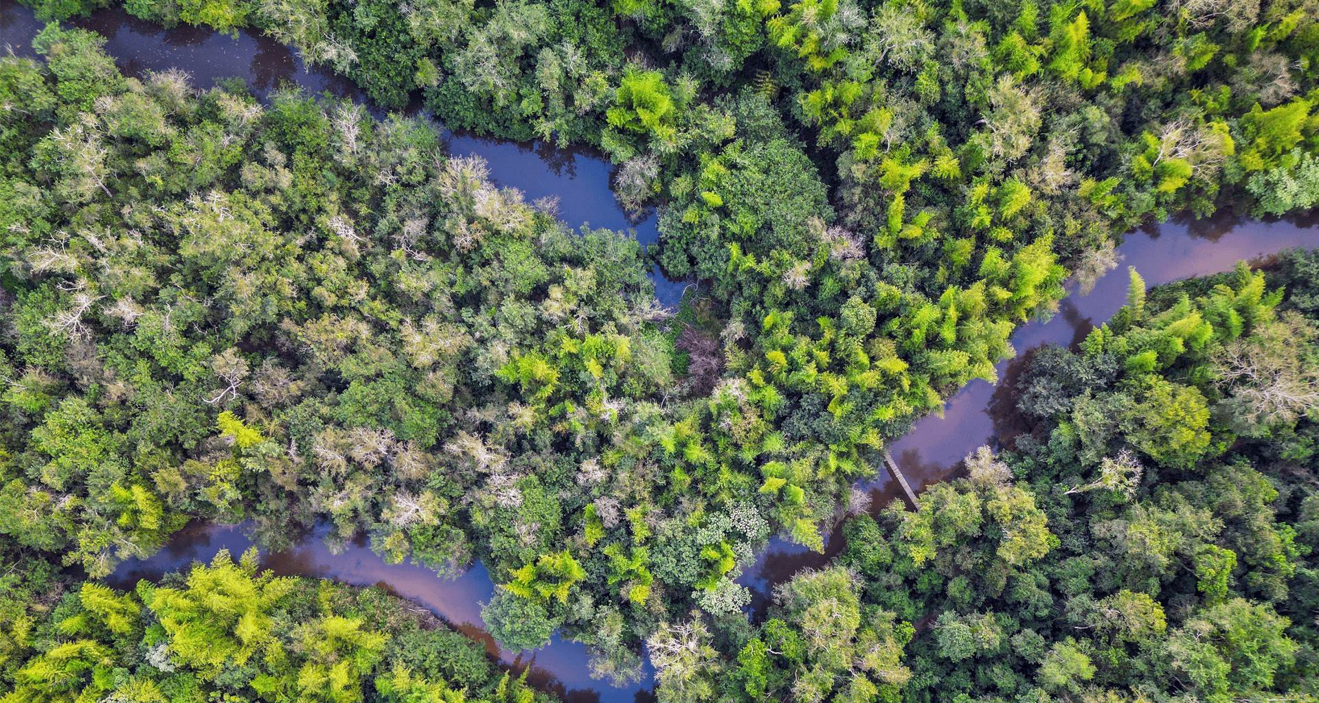 Beautiful Mbaracaju National Reserve in Paraguay.