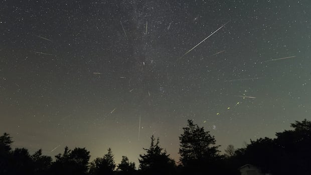 Attention stargazers! It's time for one of the best meteor showers of the year — the Perseids